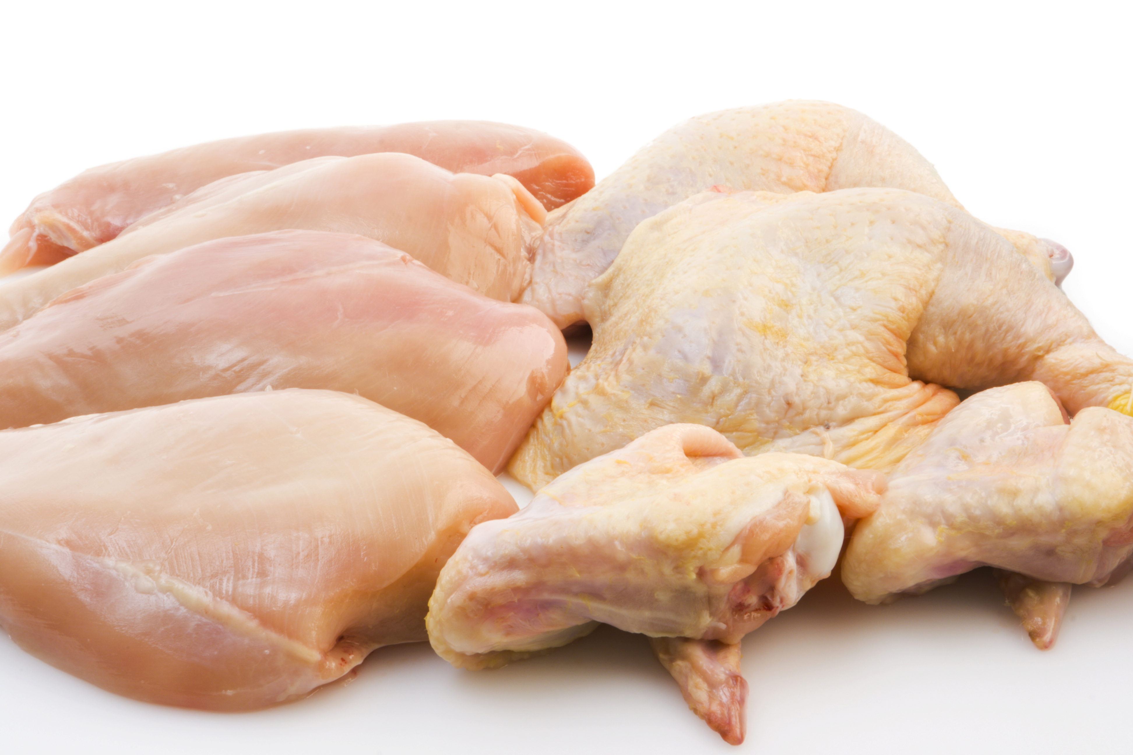 Salmonella Outbreaks: Are Better FSIS Regulations Needed?