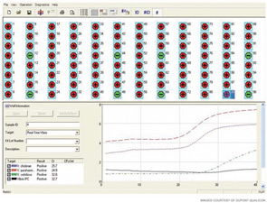 DuPont Qualicon’s BAX system has 13 polymerase chain reaction (PCR) assays that target nine microbes. This is an image of results from 2009 using PCR with real-time detection showing clear positive or negative results for 96 tests in one batch.