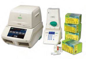 Real-Time PCR test kits for rapid, accurate pathogen detection
