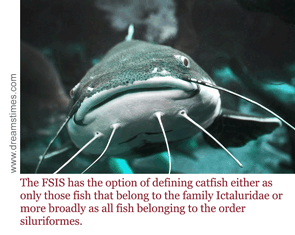The FSIS has the option of defining catfish either as only those fish that belong to the family Ictaluridae or more broadly as all fish belonging to the order siluriformes.