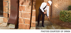 Regularly monitor for any cracks or holes in exterior walls and seal openings with weather-resistant sealant.